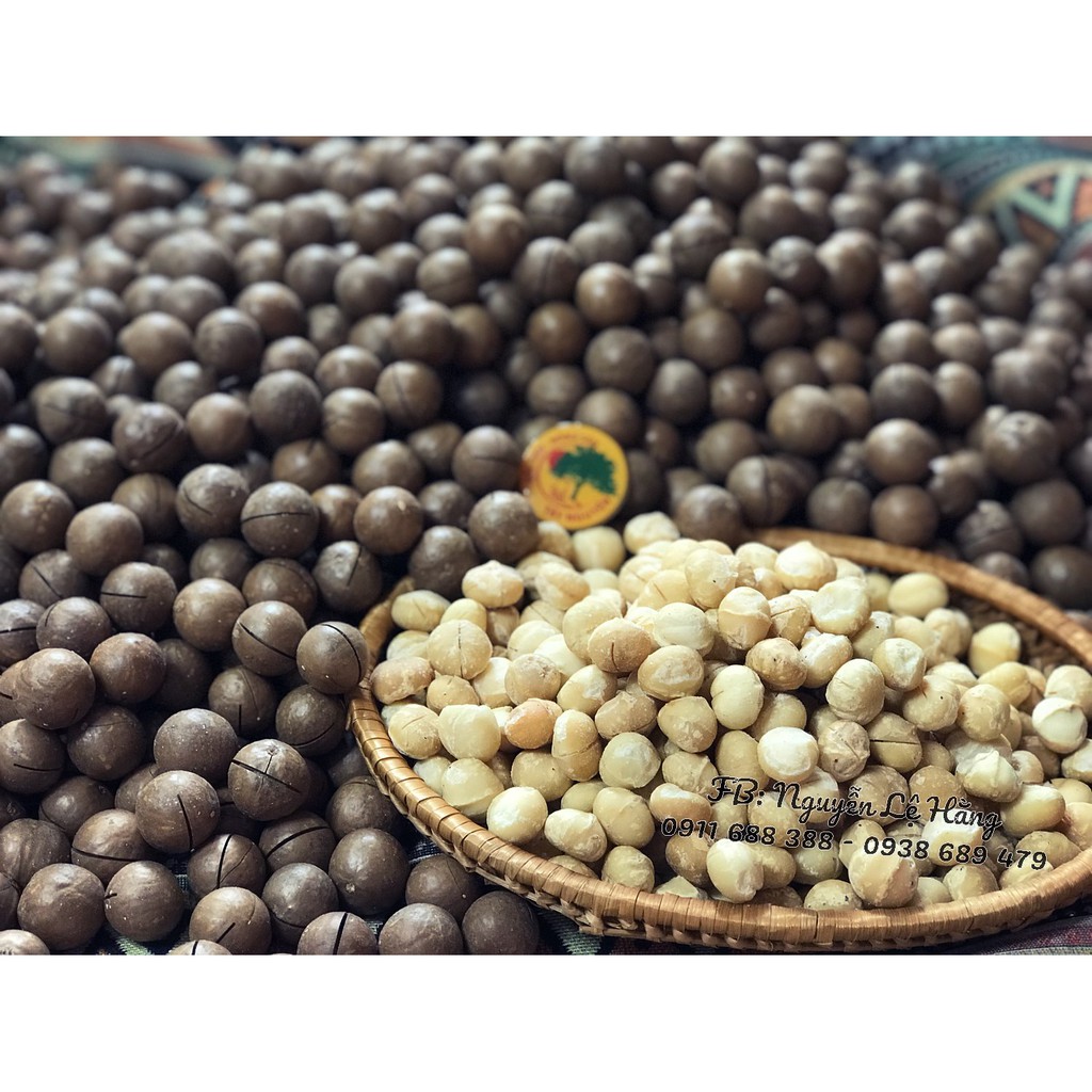 Macca Maccadamia Kernel (nguyên vỏ)