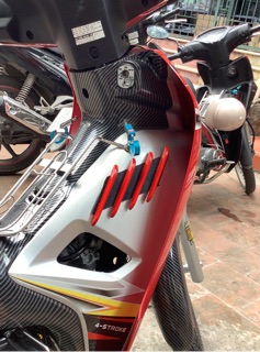 Mèo cào / móng cọp Exciter , Winner, Sirius, Wave... (giá 1 cặp)