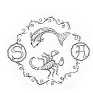 Piscor.shop Hàng thiết kế