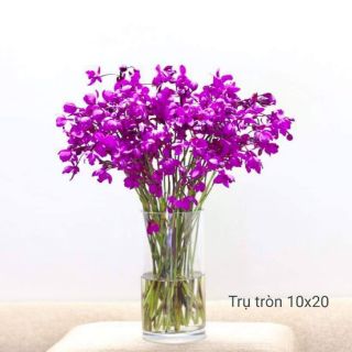Lọ cắm hoa trụ tròn