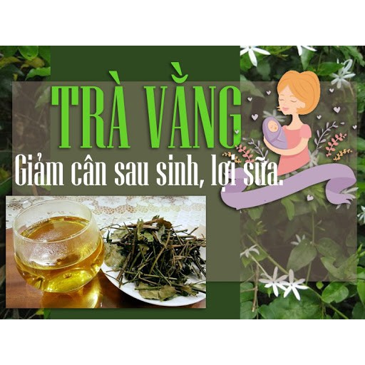 Dùng thử trà vằng lá sen Đông y gia truyền Thông Cát (SINCE 1918) - Giảm cân, nhuận tràng,da dẻ mịn màn sau 7 ngày