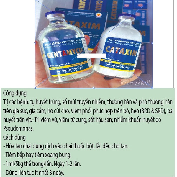 [Giá tốt] Cataxim 100ml mũi , thương hàn và phó thương hàn Bổ sung vitamin và dinh dưỡng