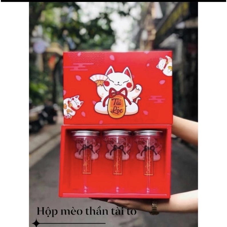 Hộp Tết Mèo Thần Tài To ( Kích thước : 29*18.5*9.5cm không gồm hộp nhựa )
