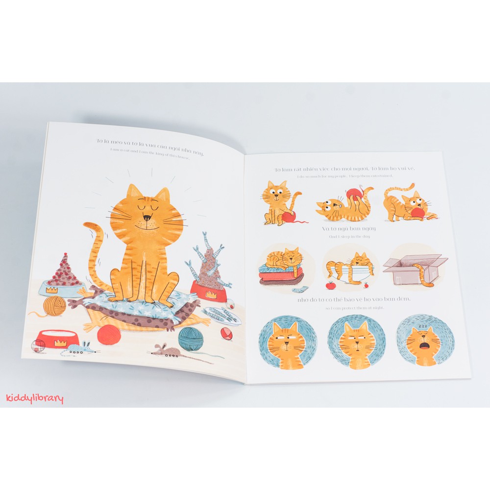 Sách tranh song ngữ Vua mèo