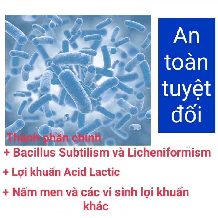 Hộp 10 gói Men vi sinh Men tiêu hóa cho chó mèo thú cưng Borammy - Hàng chính hãng có tem chống giả