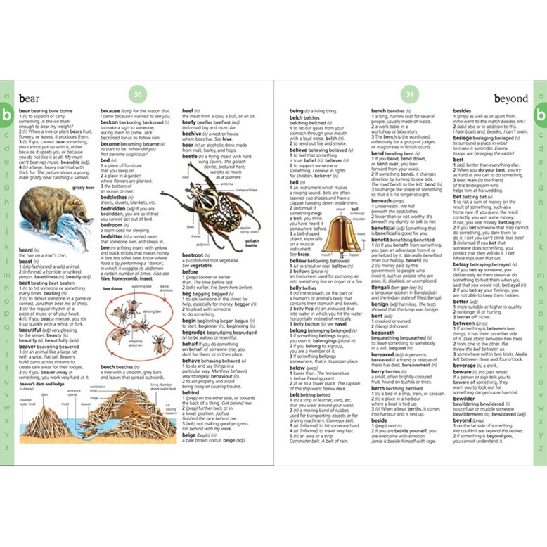 Sách: Anh: Usborne Illustrated English Dictionary