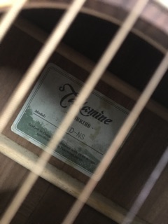 Guitar takamine D1D NS