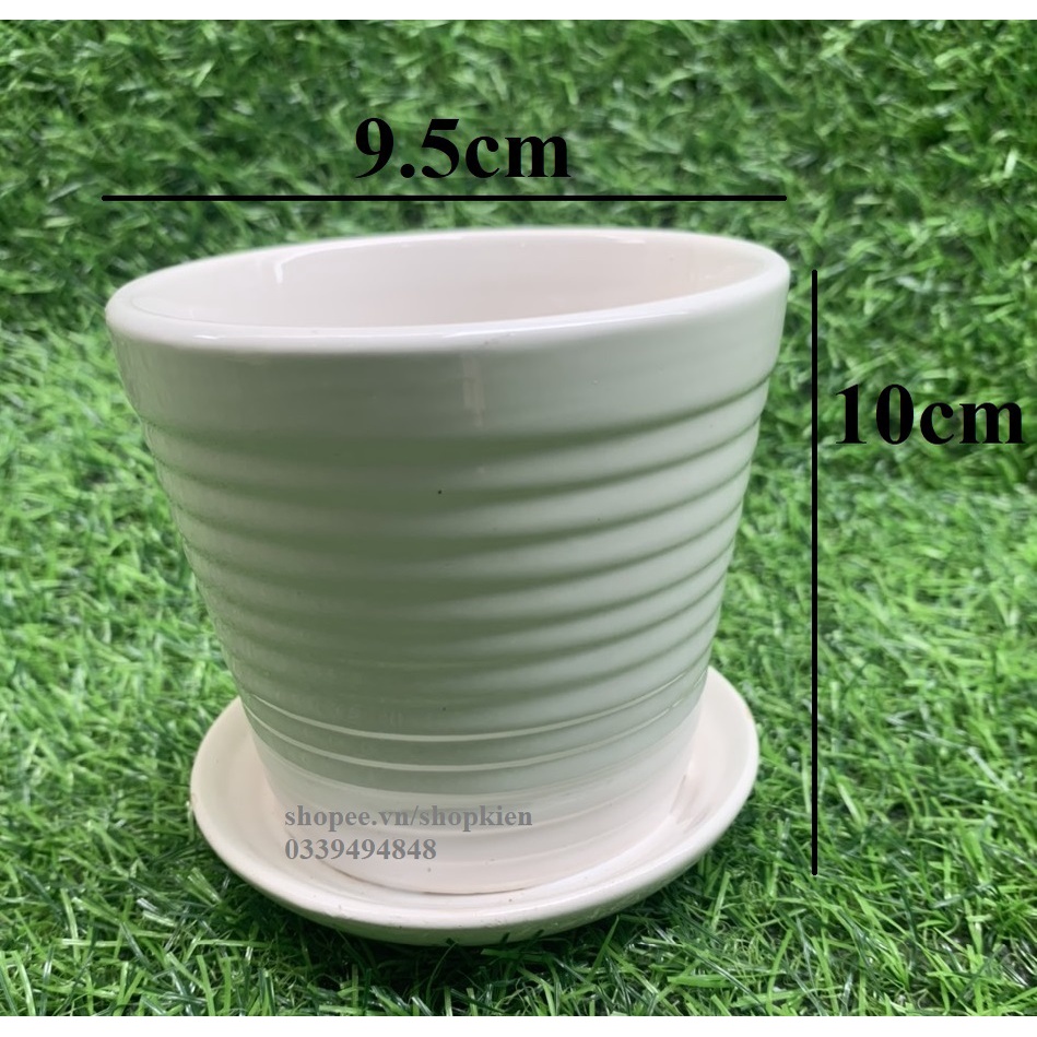 Chậu trồng cây mini  để bàn có đĩa đựng nước màu và dáng đẹp