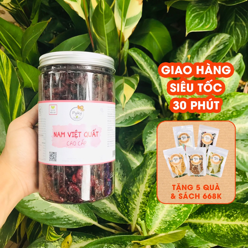 Nam Việt Quất Mỹ [CAO CẤP] sấy mọng không đường dẻo thơm | Ăn vặt mẹ bầu - Trái trái cây sấy dẻo Pyky