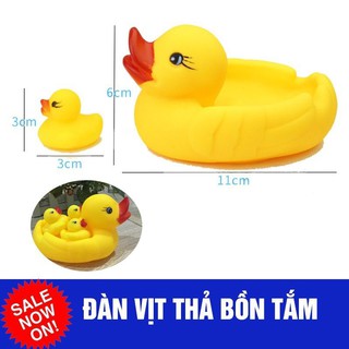 Đàn vịt mẹ và 3 con thả bồn tắm nhỏ