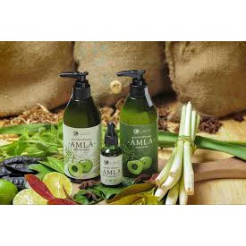 Dầu Gội Organic Amla - Laco - Trị rụng tóc - Cam kết chính hãng