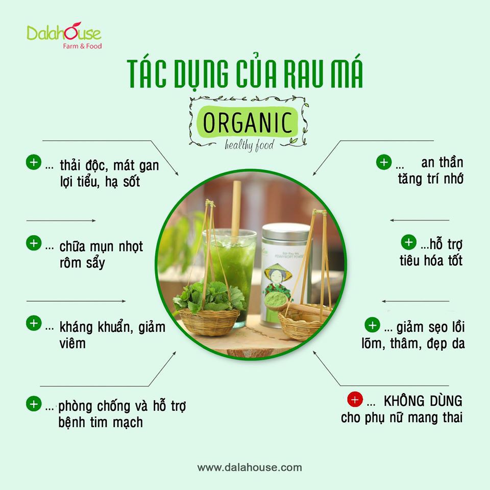 Bột Rau Má Nguyên Chất 100% Hộp 60gr - Dalahouse - Bổ Sung Chất Xơ - Chống Lão Hóa Da | BigBuy360 - bigbuy360.vn