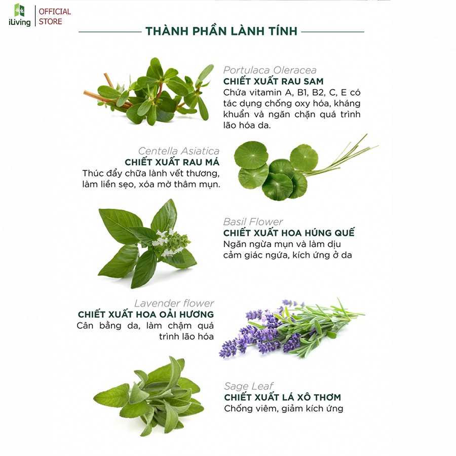 [Mã INCU50 giảm 50K đơn 250K] Sữa rửa mặt ngừa mụn Caryophy Portulaca 30ml và 150ml ILIVING-CARSRM | BigBuy360 - bigbuy360.vn
