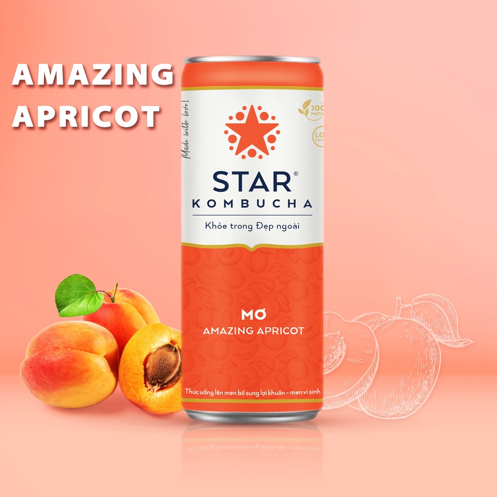 Combo 2 Thùng 12 Lon Trà Star Kombucha mix vị