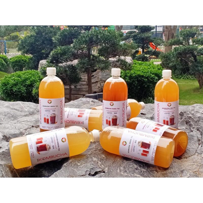 KOMBUCHA SENCHA TEA - HỮU CƠ/CHAI NHỰA - RẺ - TIỆN DỤNG (Nguyên Chất Thô - chuyên dùng cho pha chế )