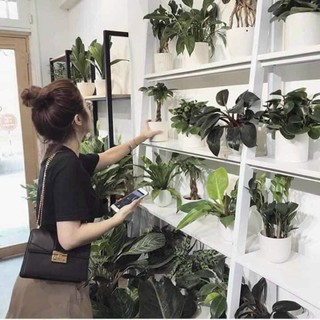 Túi C.N.K Quỳnh búp bê siêu hót