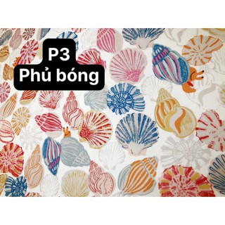 Vải canvas phủ pvc cath kidson hình vỏ sò p3