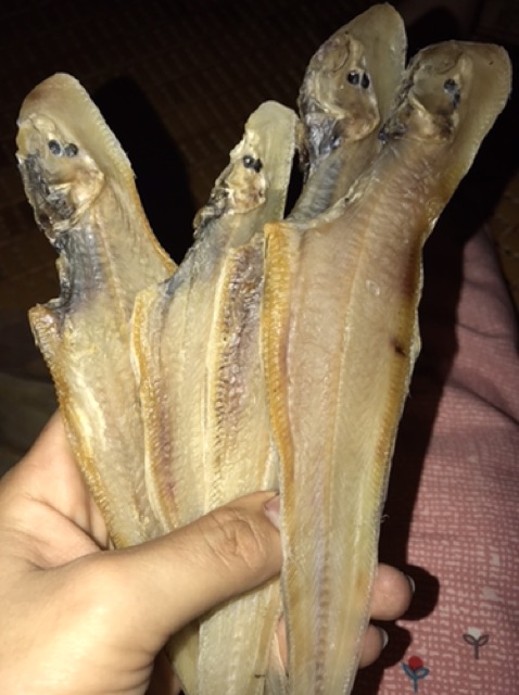 Combo khô mực | BigBuy360 - bigbuy360.vn