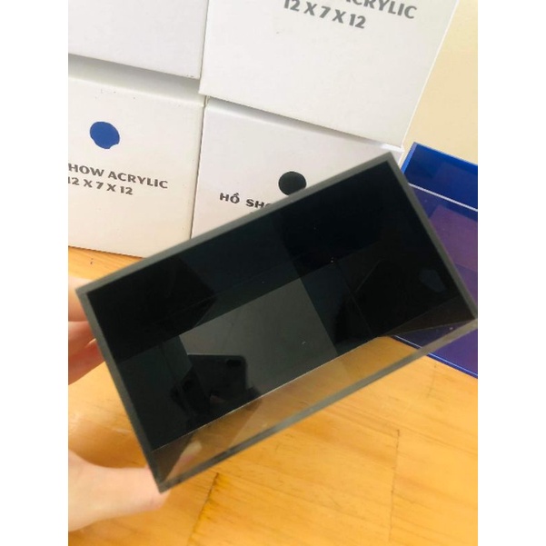 Hồ Show Acrylic Siêu Trong | Bể CÁ Mini Dùng Để Show Guppy, Betta