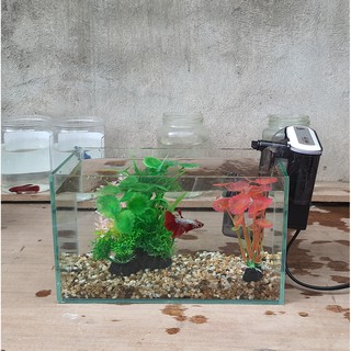 Bể cá mini 24 cm với 5 món (bể 24, sỏi nền, máy lọc, cây nhựa vừa, cây nhựa mini)