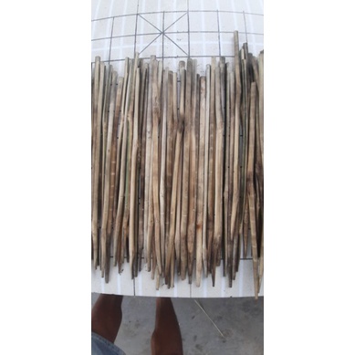 20 CẦN CẮM ẾCH TÓM SẴN