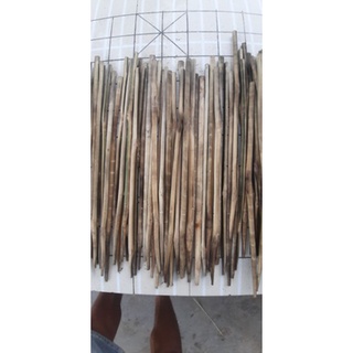 20 CẦN CẮM ẾCH TÓM SẴN