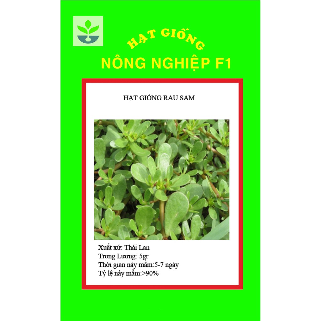 Gói 5 gr hạt giống rau sam