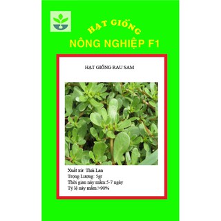 Gói 5 gr hạt giống rau sam