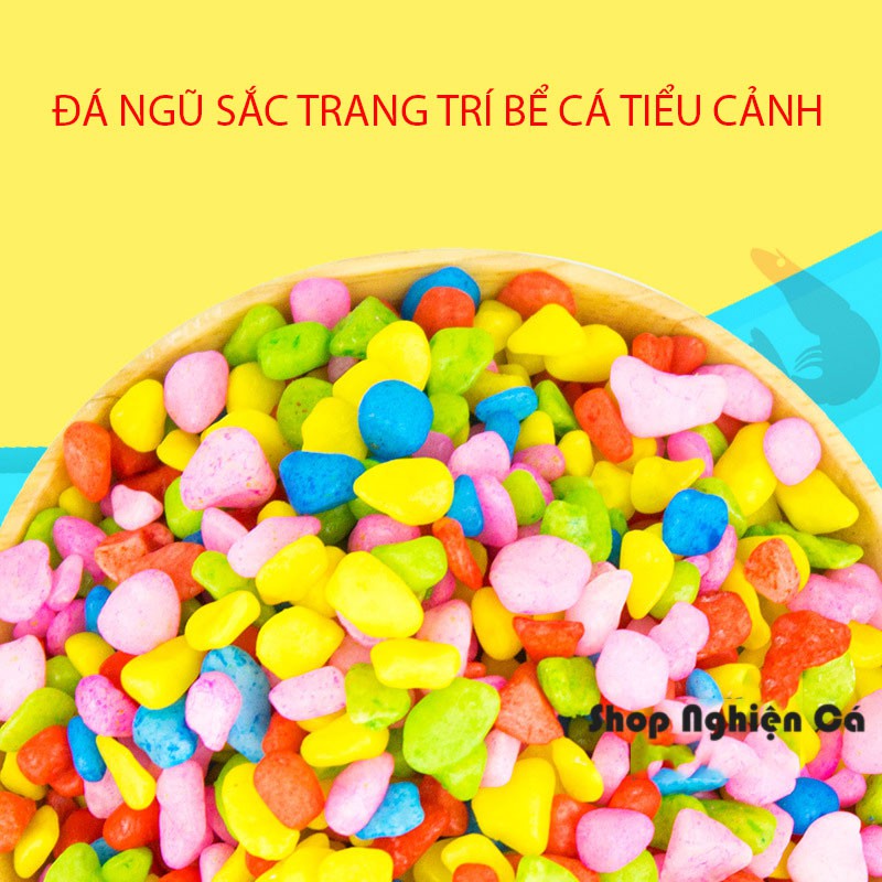 [100g] Đá Màu Ngũ Sắc Tổng Hợp -Trang Trí Tiểu Cảnh, Bể Cá, Chậu Cây