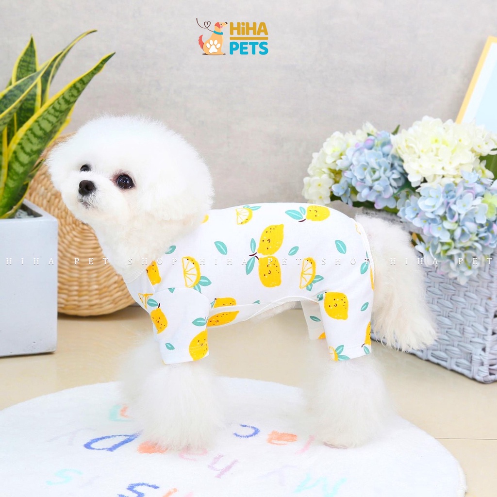 Quần Áo Cho Chó Mèo 4 Chân Mặc Ấm Chất Liệu Thun Cotton Quần Áo Thú Cưng Jump Hình Dễ Thương Hihapet.