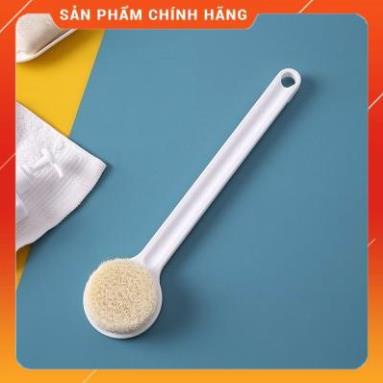 Cây Cọ Lưng Tắm Lông Mềm