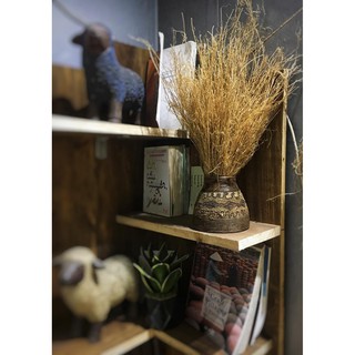 Rễ cỏ Vetiver trang trí