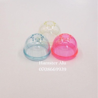 Chụp mika cửa chui Hamster