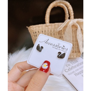 Bông tai titan thiên nga TT468 - titan cao cấp không đen không rỉ