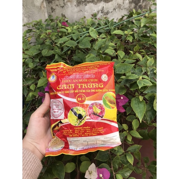 CÁM TRỨNG BA VÌ ĐỎ( CÁM 2 TEM)