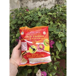 Cám trứng ba vì đỏ