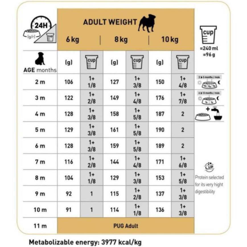 HẠT ROYAL CANIN PUG PUPPY DÀNH CHO CHÓ PUG NHỎ - uri1