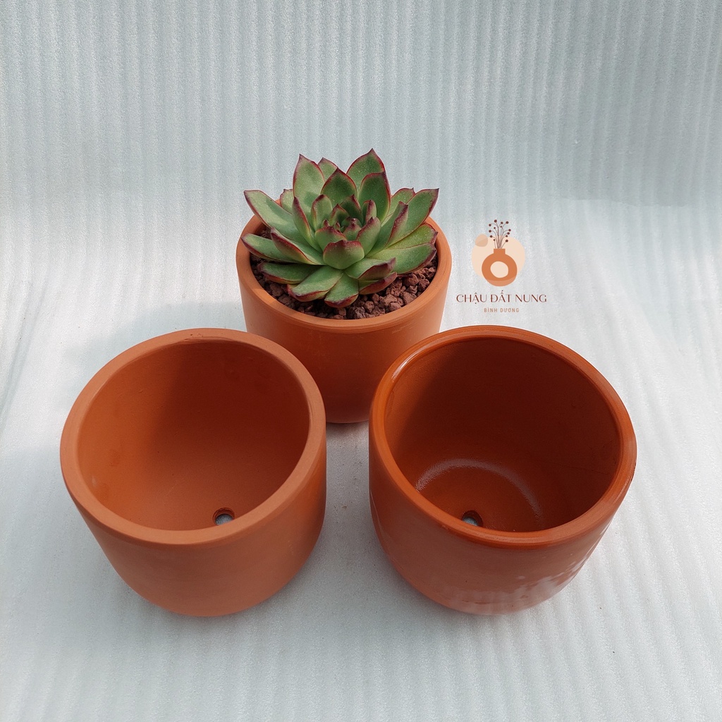 Chậu đất nung, Chậu sen đá - Trụ trứng 1210, miệng chậu 12cm, chiều cao 10cm