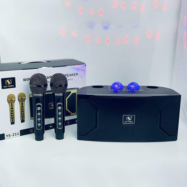 Loa Karaoke YS -211