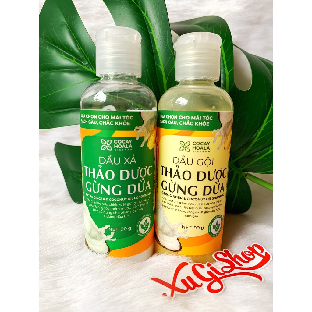 Bộ dầu gội xả sạch gàu gừng dừa hữu cơ Cocayhoala dung tích 90g/chai size du lịch