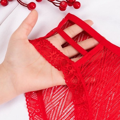 Quần lót nữ ren lưới sexy thoáng khí QL011
