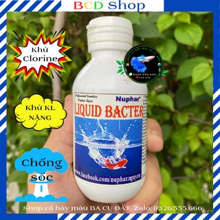Liquid Bacter - dùng để xử lí nước - khử độc nước - chống sốc khi thả cá mới về