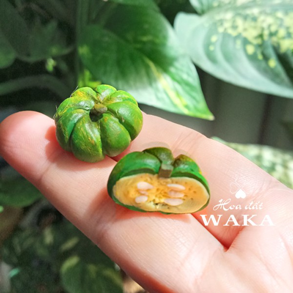 Mô hình 1 Trái Bí Đỏ Mini- Rau Củ Quả Mini 1/12