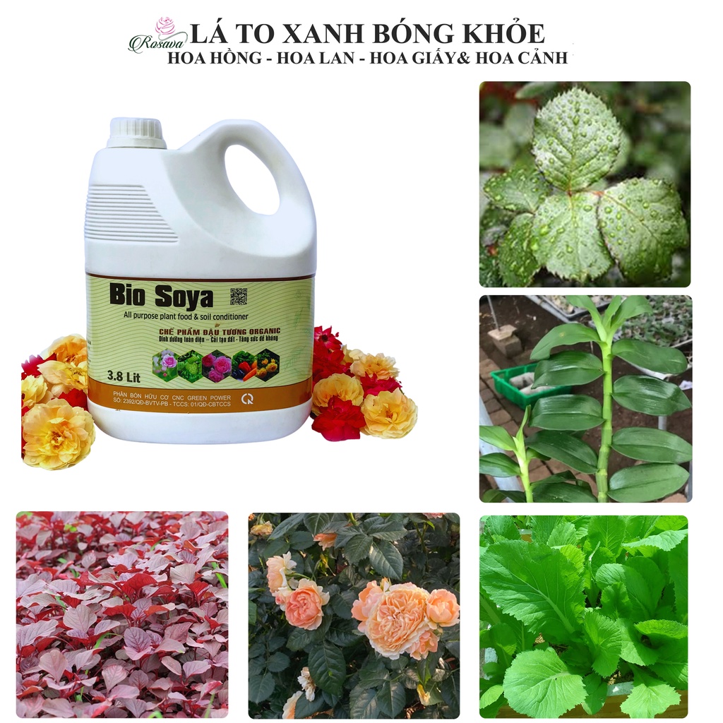 Phân bón hữu cơ vi sinh đậu tương Rosava can 4L rẻ, đậm đặc cho hoa hồng, giấy, lan, sen đá và cây cảnh