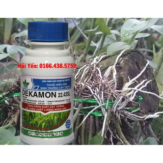 Phân kích thích sinh trưởng cây trồng Dekamon 22,43L chai 100ml