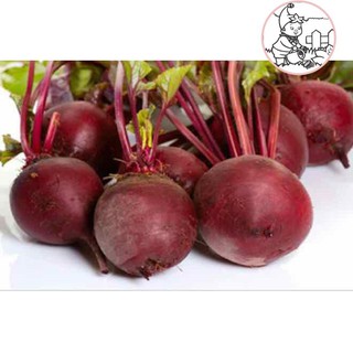 HẠT CỦ DỀN - GÓI 5 GRAM
