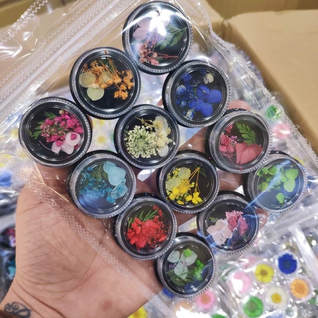 Set hoa khô nail (12 hủ)