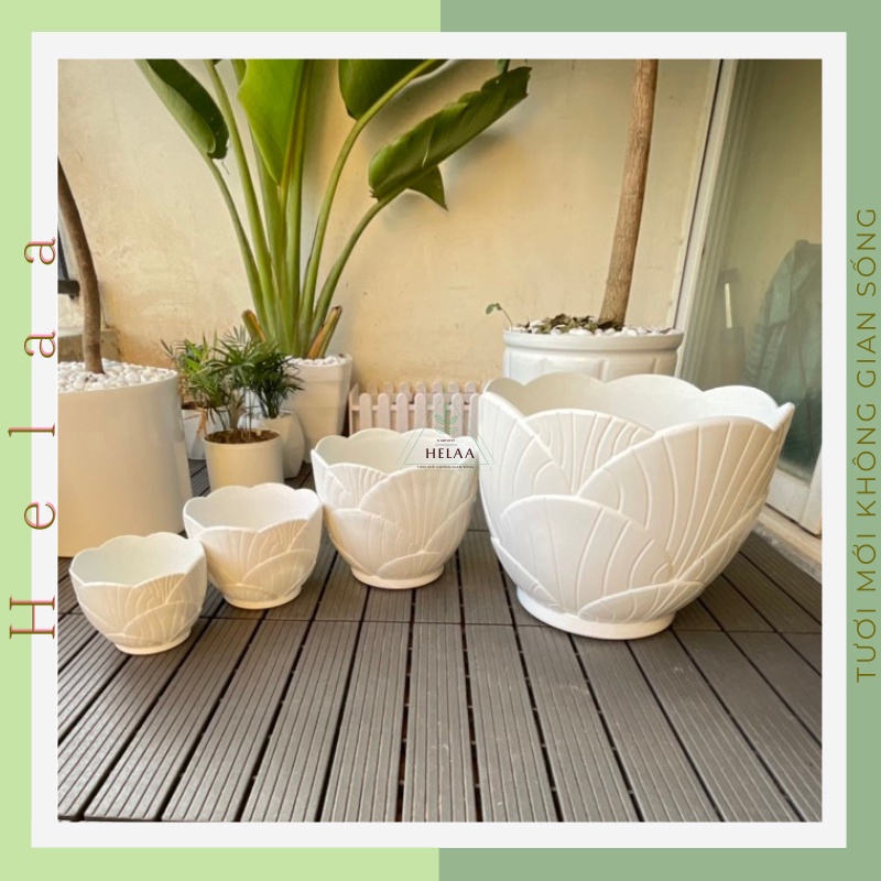 Chậu Nhựa Giả Sứ Hình Bông Hoa , Chậu Hoa Nhựa Trồng Cây Cảnh Siêu Đẹp, Hàng CN Dày, Cứng, Bền Đủ Size