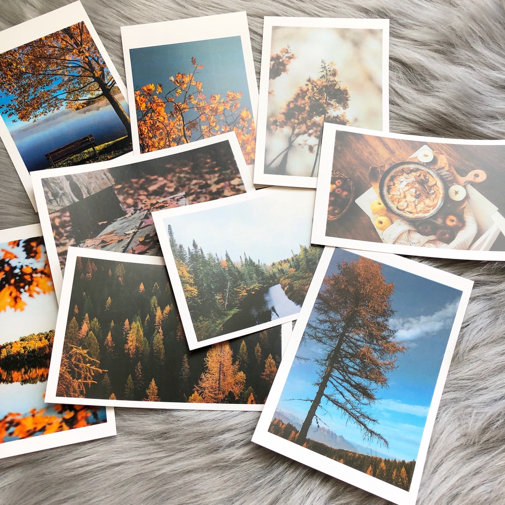 Postcard, Thiệp chúc mừng, Tranh trang trí BST mùa Thu  kèm bao thư Kraft