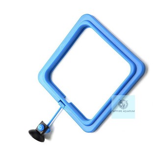 Vòng giữ thức ăn cho cá cảnh